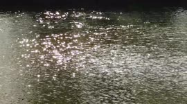 Sun reflects off water