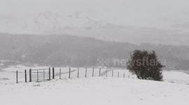 Snow Falling - N. Ireland - Nov 25th 2017