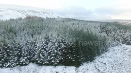 Drone Sweeping Over Snow Covered Trees