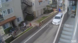 Lady bumps one bike and causes a bunch of them to fall.