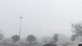 Extremely dense fog in Florida makes it appear as if it’s snowing