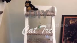 DIY Cat Tree