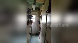 Newsflare Edit - Cat Fail