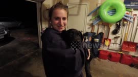 First Meeting With New Puppy