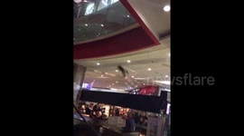 Man uses box catches cat falling from first floor in mall