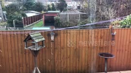 Essex just got its first snow of 2017