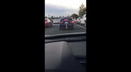 Elf pranks