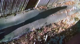Delivery driver urinates on side of house after failed delivery