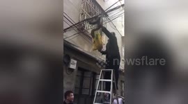 Villager catches three-metre-long python twisting on wires