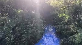Mysterious colour-changing neon liquid spotted in stream