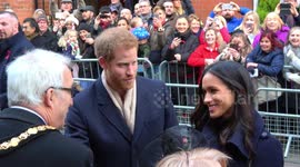 File footage shows Harry and Meghan on first royal engagement