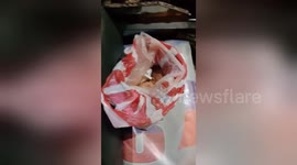 Newborn baby abandoned on motorbike and sidecar