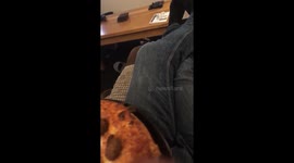 Ok here’s my pizza just for begging so cutely