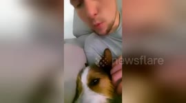 Newsflare Edit - Whistling with my dog