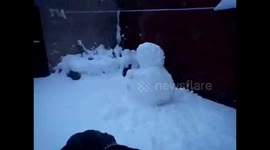 Dog destroying snowman