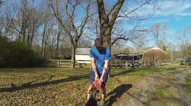 Dog can jump