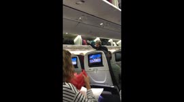 Australian flight attendants use bug spray on Qantas flight