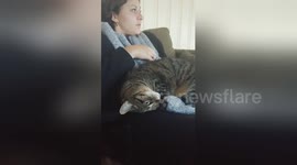 Newsflare Edit - Cute cat meow