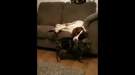 Friends for life