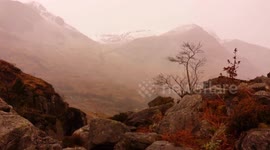 Snow Flurry - The life of a photographer