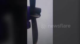 Flybe engine stopped by bird strike
