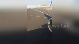 Newsflare Edit - B 757 Bird Strike