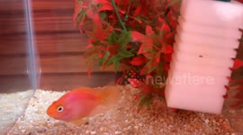 Day #10 Eine Kleine Nachtmusik (by Mozart)