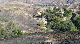 Scorched earth: Resident reveals Creek Fire destruction