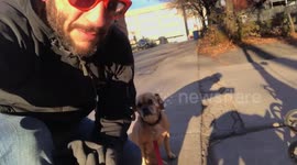 A DAY IN THE LIFE OF PUDGE THE PARALYZED PUGGLE
