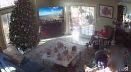 Newsflare Edit - Timber! Hilarious Christmas tree fail in New York state