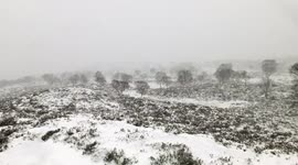 Storm Caroline brings blizzard conditions to Scottish highlands