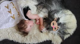 Cute dog and kid having Christmas time cuddles