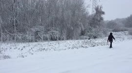 Walking dogs in the snow