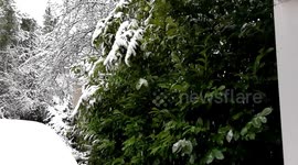 London snowfall in Slow motion December 10th 2017