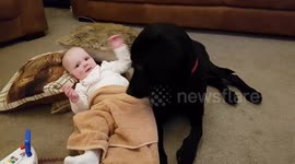 Cute baby and dog cuddle