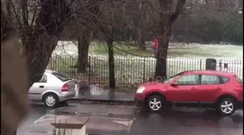 Woman walks fake dog in snow part 3