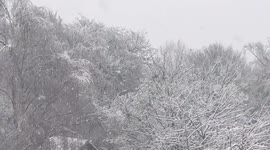UK Snow