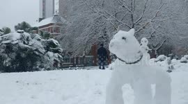 Snowmen Dogs and Cats in Birmingham