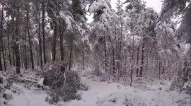 Mountain biking in heavy snow. Fallen branches blocking trail. Falling Off.