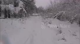 Haughmond Hill   Blue AntiClockwise trail in snow and fallen trees