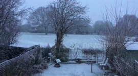 Candid videos of a cat and a home under snow seige in Essex - normal video!