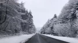 Driving home for christmas