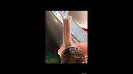 Snail getting a bath