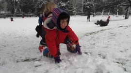 Sledging in the snow at The Horniman Museum in South London