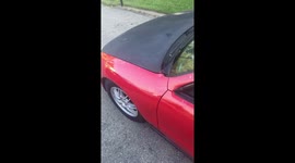 Chihuahua in convertible