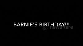 YouTuber Viva Frei  celebrate his French bulldog's first birthday