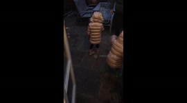 Kids play in early morning snow
