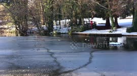 Ducks enclosed in Frozen Lake