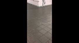 Port Authority up and running