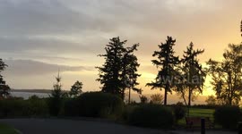 Sunset Over Kirkland Washington